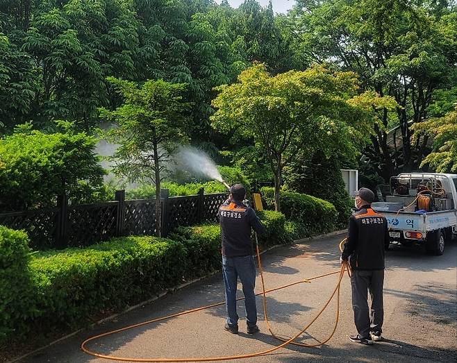 러브버그 방역 작업을 하고 있는 마포구 관계자. 마포구 제공