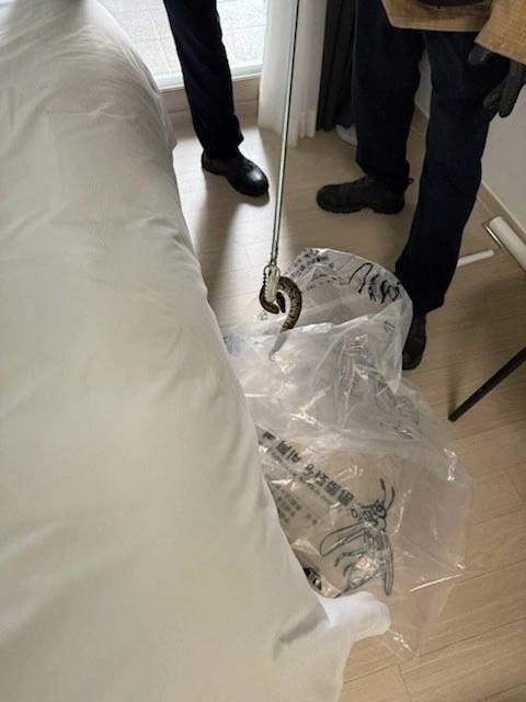 국립공원공단 북부보전센터 제공