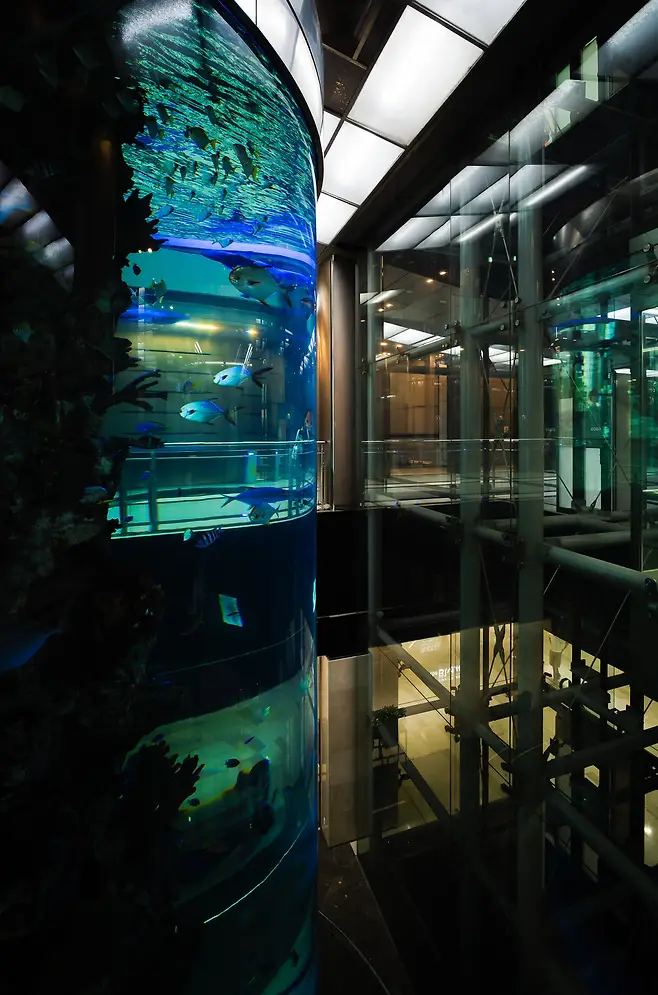 24b0d76bb0856ee879bad4a536ef203ef08ef8f6c3cbc0b4