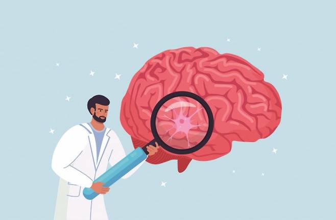 뇌의 무게는 얼마나 될까. 게티이미지뱅크 제공