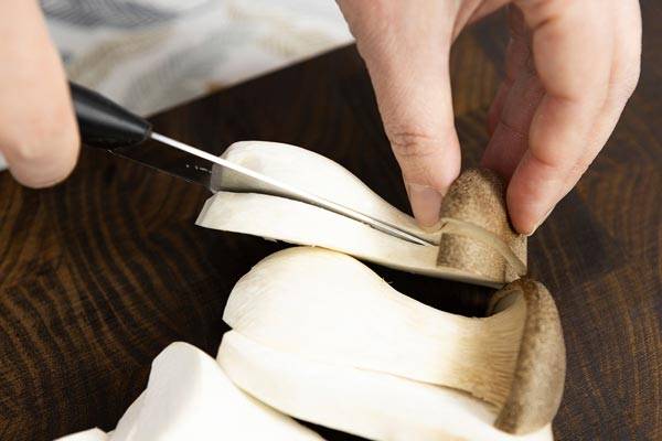 클립아트코리아