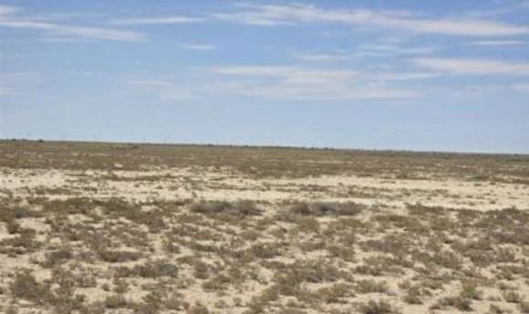 키질쿰 사막의 거친 초원이 펼쳐져 있다. [사진=윤영선]