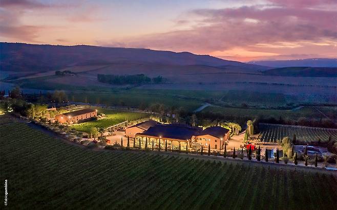 돈나푸가타 와이너리의 가장 상징적인 포도밭인 콘테사 엔텔리나(Contessa Entellina)의 전경. [나라셀라 제공]