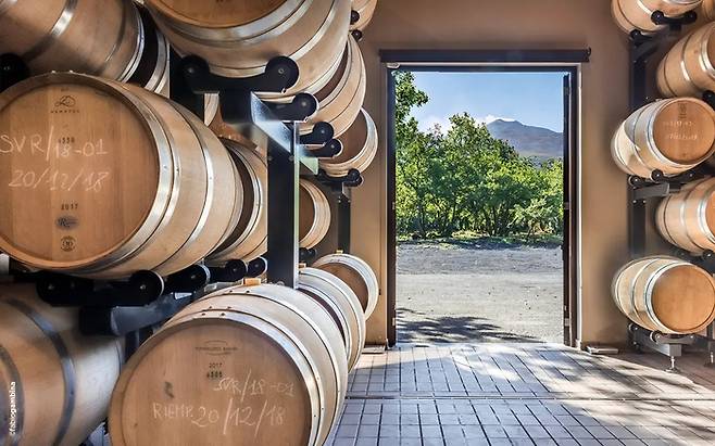 활화산인 에트나산 북쪽 경사면에 위치한 돈나푸가타 란다쪼(Randazzo) 와이너리의 바리크 셀러. [나라셀라 제공]