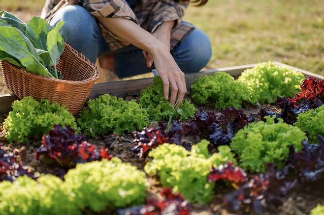 사진=게티이미지뱅크.