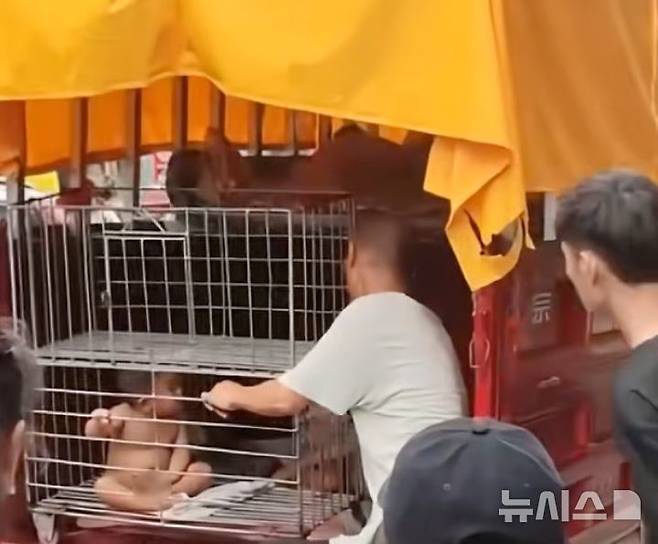 [뉴시스] 중국에서 한 아버지가 아들을 벌거벗긴 채 철장에 가둔 모습이 공개돼 논란이 일고 있다. (사진=scmp) 2025.06.26