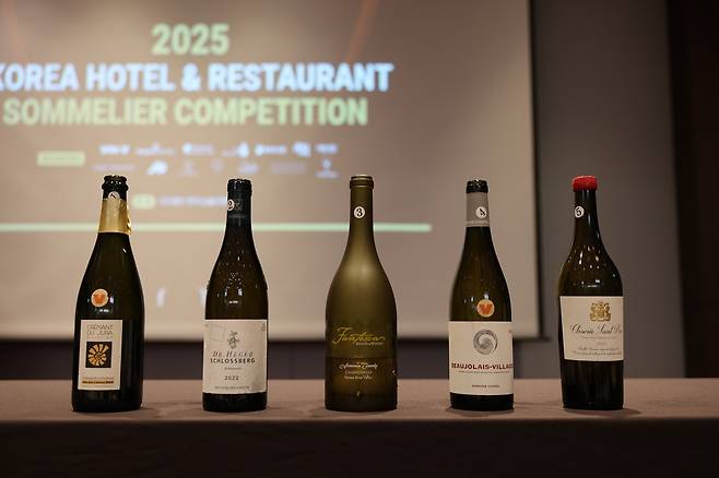 예선 블라인드 테이스팅 와인.