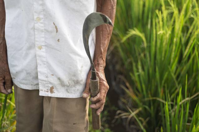 기사 이해를 돕기 위한 사진. 이미지투데이
