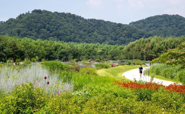태화강국가정원 자연주의정원. 사진제공=울산시