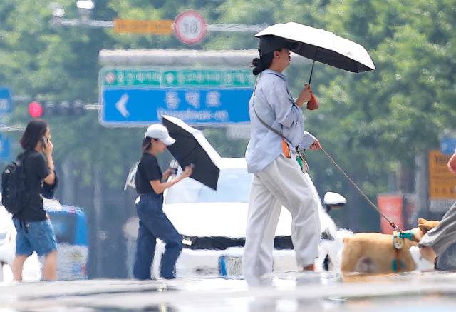 대구에 올해 첫 폭염주의보가 발령된 27일 대구 중구 공평네거리 인근 국채보상로에서 시민들이 지열로 인한 아지랑이가 피어오르는 도로를 건너고 있다. 연합뉴스