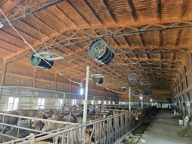 폭염 저감시설 [창원시 제공. 재판매 및 DB 금지]