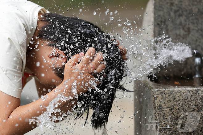 자료사진 /뉴스1