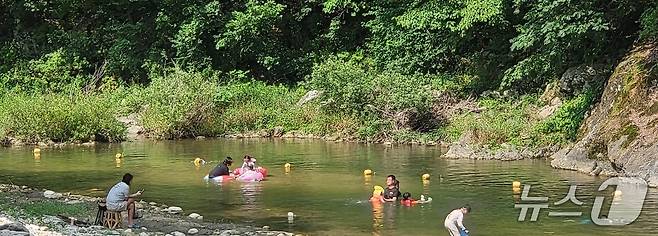 29일 낮 강원 원주시의 한 냇가에서 가족 단위 관광객들이 물놀이를 하는 모습. 2025.6.29/뉴스1