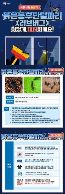 러브버그 대처요령 안내문./환경부