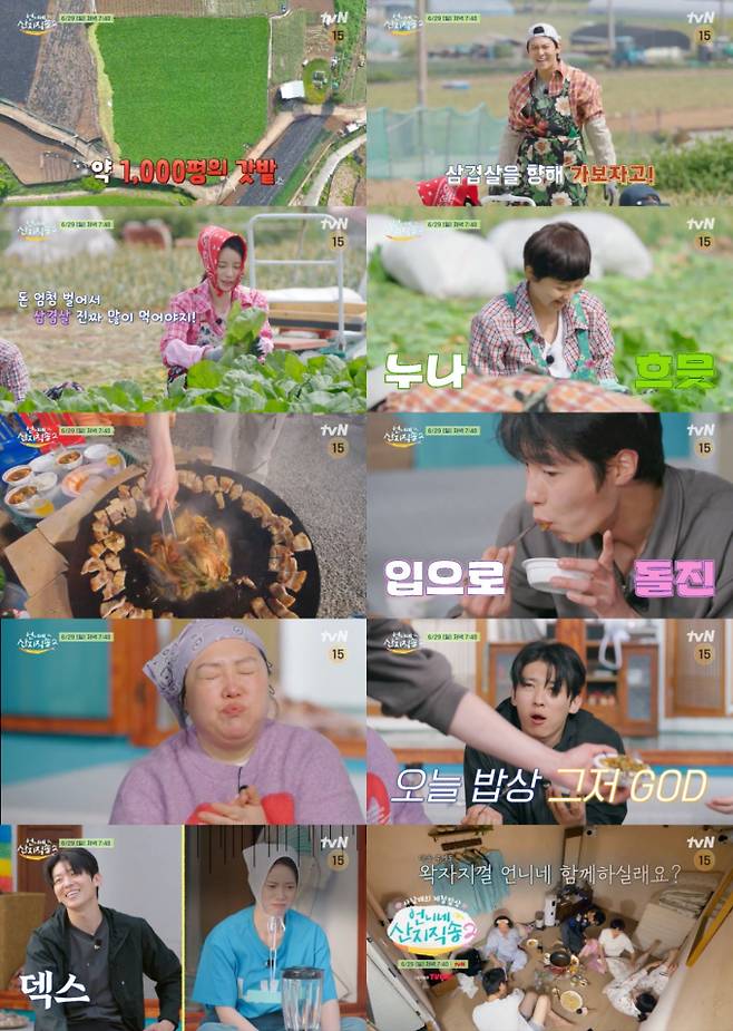 예능 '언니네 산지직송2' (제공: tvN)