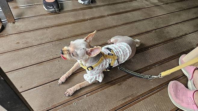 20250628_132431.jpg 아들 야구팀 가족들과 멀리 가서 민물매운탕