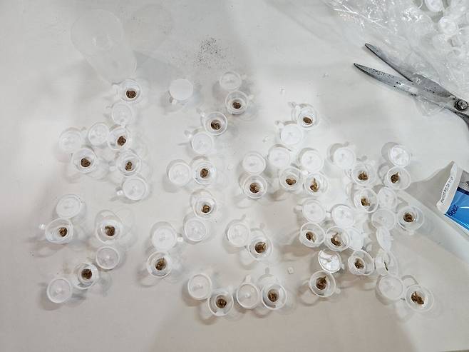 20250629_115558.jpg 포텐글 보고 바선생 특효약 맥스포스겔 삼ㅋㅋ