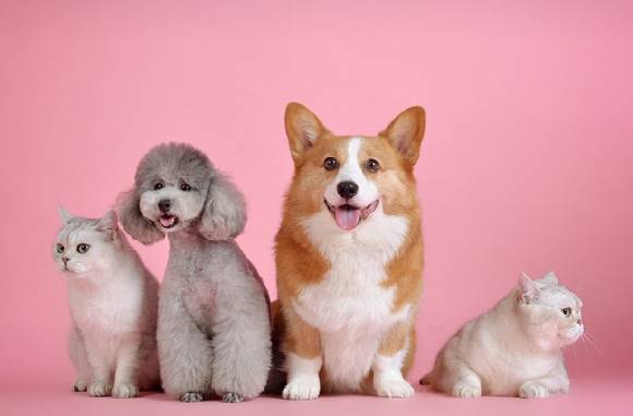 기사와는 무관한 사진. [사진=픽사베이]