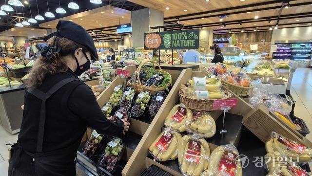 기사의 이해를 돕기 위한 사진으로 기사와 직접적 연관은 없습니다. 사진은 지난 28일 오후 AK플라자 수원점 식품관에서 점원이 과일을 정리하는 모습. 금유진기자