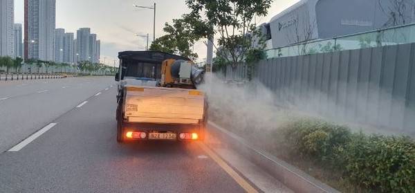 연수구 보건소가 러브버그 방제작업을 펴고 있다. 2025.6.30. [사진=연수구청]