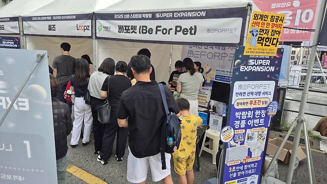 사진=비포펫 제공