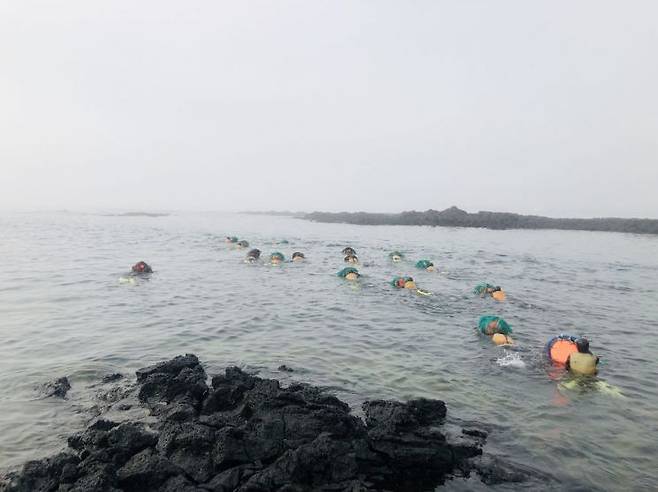 성게 채취를 위해 물질에 나서는 제주 해녀들.