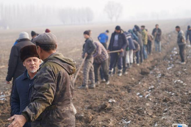 가이랏 주민들이 기초생활인프라(파이프) 구축을 함께하기 위해 노동력을 제공(부지 정리)하고 있다. 굿네이버스 제공.