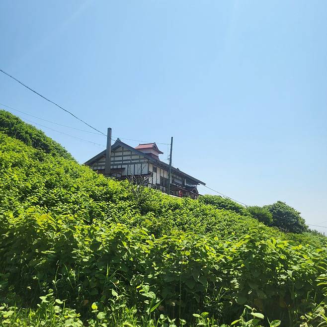 20250619_100906.jpg 홋카이도 7박 8일 골든 카무이 여행기 -4-