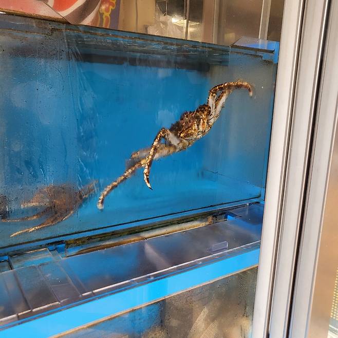 20250619_161109.jpg 홋카이도 7박 8일 골든 카무이 여행기 -4-