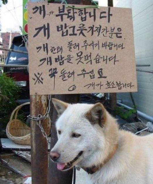 1000019644.jpg 개밥그릇 가져간 사람 진짜 나쁘다