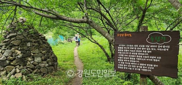 ▲ 여름의 한복판인 30일 지역 주민들이 인제 박달고치 숲길 이끼계곡의 시원한 그늘 아래를 걸으며 무더위를 이기고 있다. 인제 박달고치는 인제대교 일대 소양호와 인제시가지, 원통 시가지가 한눈에 조망된다. 이곳은 지역 주민들의 사랑을 받고 있는 숨은 명소다.