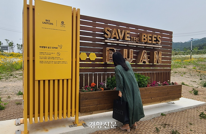 전북 부안군 변산면 국립새만금간척박물관 옆 생태공원에서 한 관광객이 야생 벌을 위해 설치한 ‘비호텔(bee hotel)’을 유심히 살펴보고 있다. 김창효 선임기자