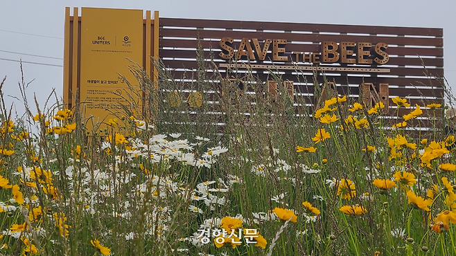 전북 부안군 변산면 국립새만금간척박물관 옆 생태공원. 길게 늘어선 금계국과 샤스타데이지가 활짝 핀 꽃밭 뒤에 야생 벌을 위한 집 ‘비호텔(bee hotel)’이 보인다. 김창효 선임기자