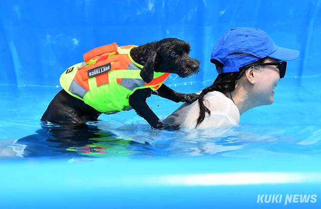 지난해 8월 서울 송파구 올림픽공원 평화의문 광장에 마련된 '하하호호 올림픽 반려견 물놀이장'에서 반려견과 보호자가 수영을 즐기고 있다. 곽경근 기자