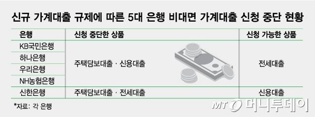 신규 가계대출 규제에 따른 5대 은행 비대면 가계대출 신청 중단 현황/그래픽=최헌정