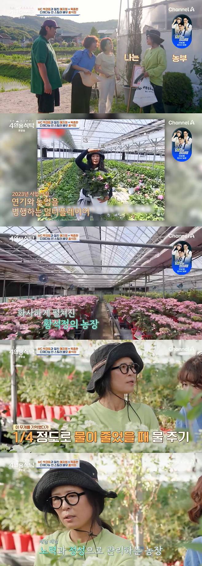 배우 황석정이 1000평 화훼농장을 운영 중인 근황을 전했다./사진=채널A '절친 토큐멘터리 4인용 식탁' 방송 화면