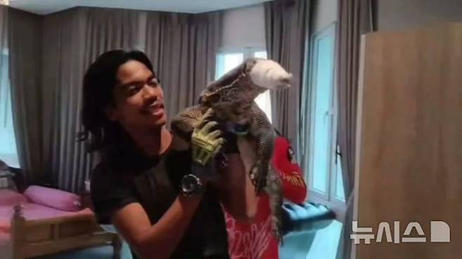 [뉴시스] 태국 아유타야의 한 주택 천장에서 왕도마뱀이 발견됐다. (사진= 데일리뉴스)