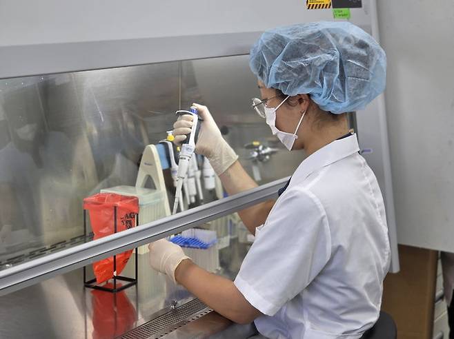 [무안=뉴시스]계란 안전성 검사. (사진=전남도 제공) 2025.06.30. photo@newsis.com *재판매 및 DB 금지