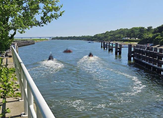 [부산=뉴시스] 29일 오후 부산 앞바다에서 원거리 수상레저활동 신고 없이 수상 오토바이를 운항한 3명이 해경에 적발됐다. (사진=부산해경 제공) 2025.06.30. photo@newsis.com *재판매 및 DB 금지