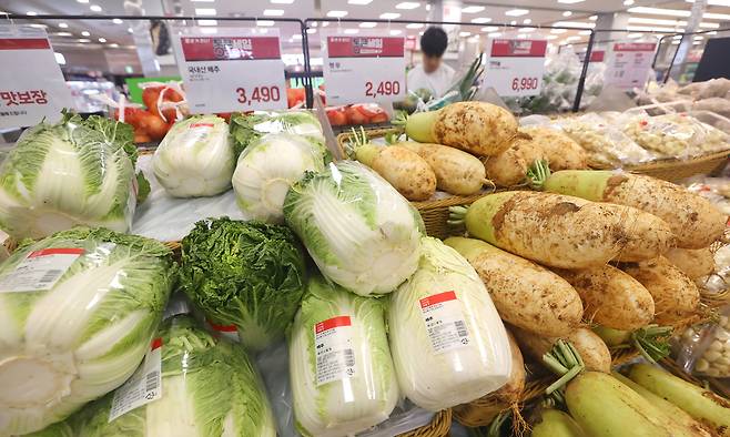 장마철이 시작되면서 여름 배추와 열무, 상추 등 채소류 가격이 들썩이고 있다. 29일 한국농수산식품유통공사(aT) 농산물 유통정보(KAMIS)에 따르면 이달 26일 기준 배추 한 포기 가격은 3천679원으로 지난달(3천148원)보다 16.87% 상승했다. 제철 채소인 열무는 1kg당 2천524원으로 전월(2천115원)보다 19.34% 올랐으며 적상추도 100g에 974원으로 한 달 전(805원)보다 20.99% 올랐다. 연합뉴스