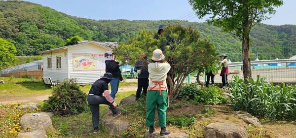 하동 북천 꽃양귀비 축제장에서 봉사활동을 하고 있는 하동군 시민정원사 교육생들의 모습. / 하동군