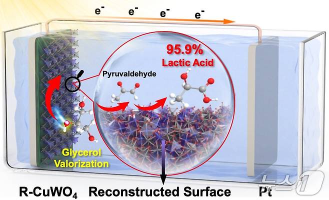 전극 촉매를 활용한 글리세롤-유산 전환(한국연구재단 제공) /뉴스1