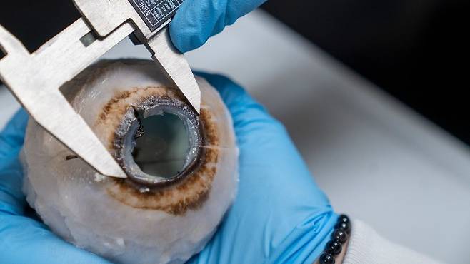 Michael Spencer/UNCW 제공