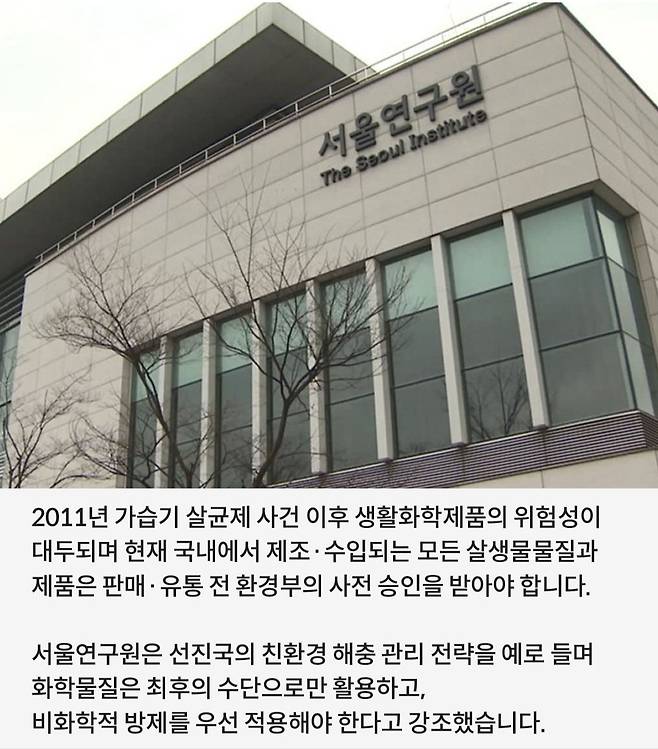 singlebungle1472-20250701-194514-002.jpg 러브버그 캐릭터화 하자