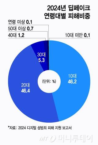 2024년 딥페이크 연령대별 피해비중/그래픽=윤선정