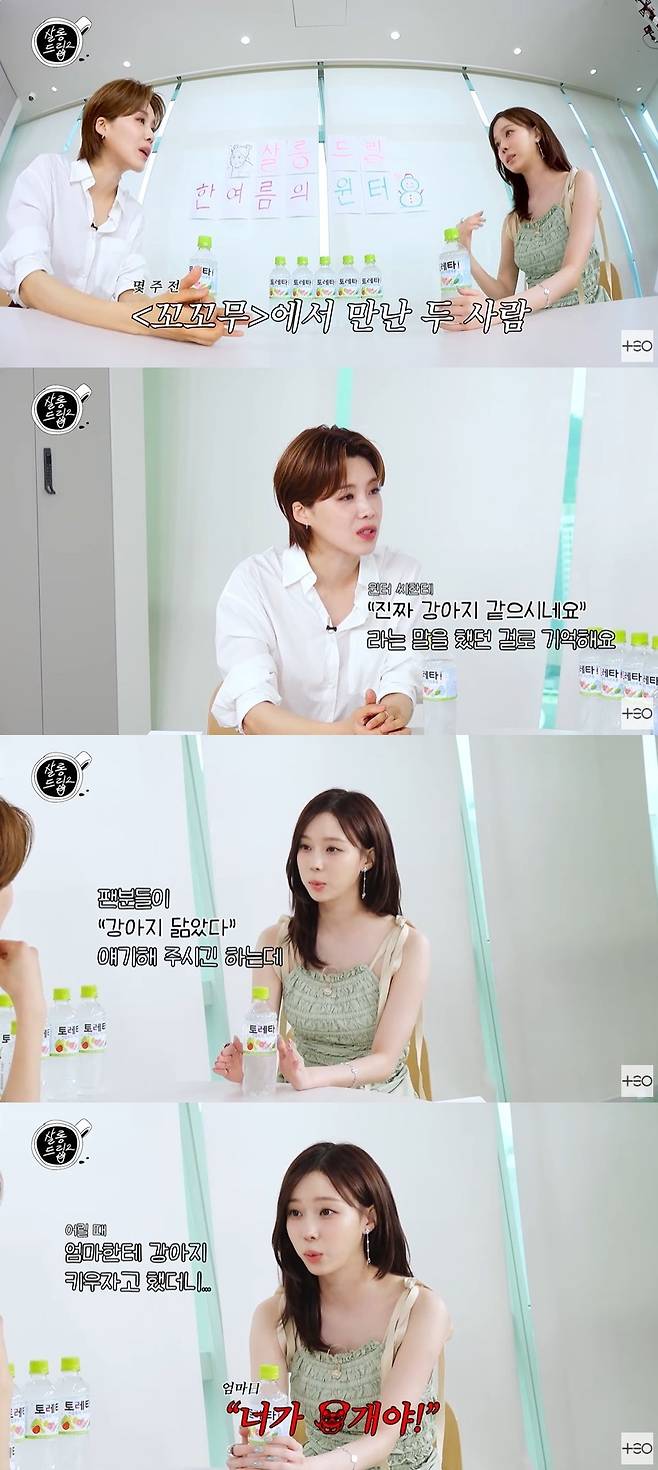 살롱드립2 캡처