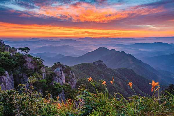 7월 중순 이른 새벽 대둔산에 올라 원추리꽃과 함께 멀리 겹겹이 쌓인 능선 위로 붉게 타오르는 여명을 담아냈다.