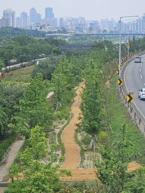 서울 중랑천 바람길숲 ‘초록사잇길’의 전경. 동대문구 제공