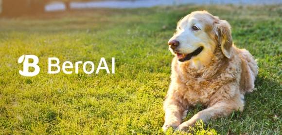 몬트리올잔디밭의Bero