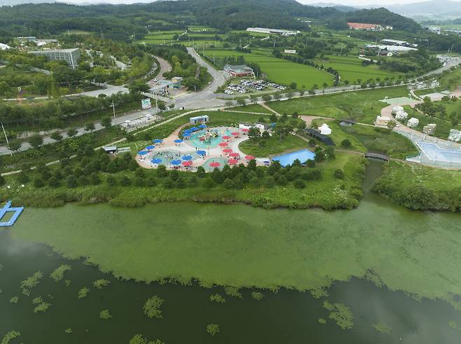 2022년 8월6일 경북 상주보 물놀이장에 녹조가 끼어있다. ⓒ시사IN 이명익